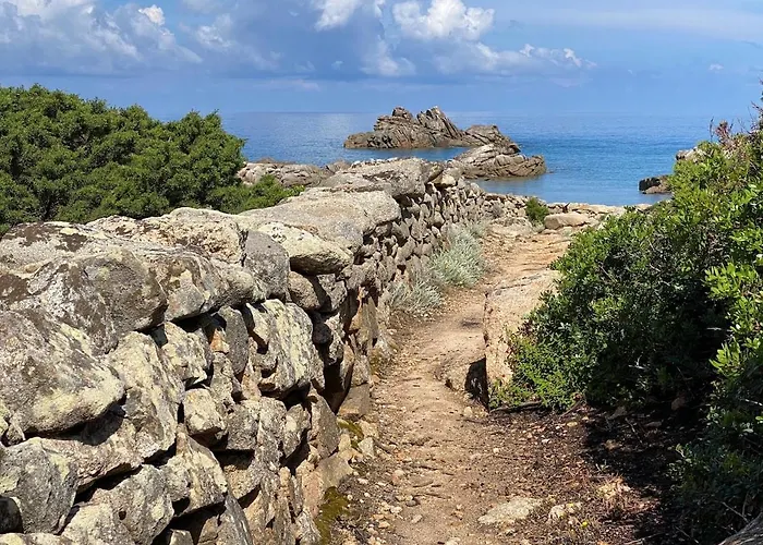 Bel T3 Vue 5 Min Des Plages A Pied Daire Propriano (Corsica)